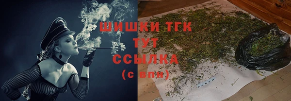 тгк Алексин