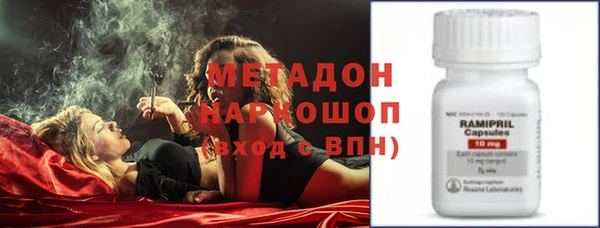 крисы Алзамай