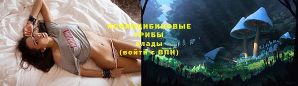меф Алексеевка