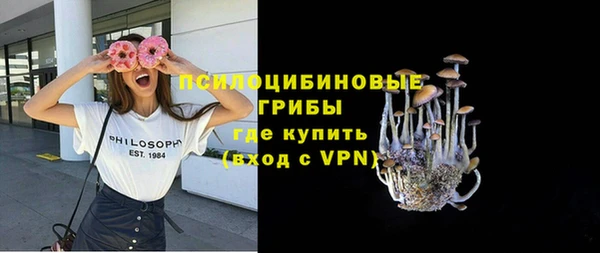 тгк Алексин