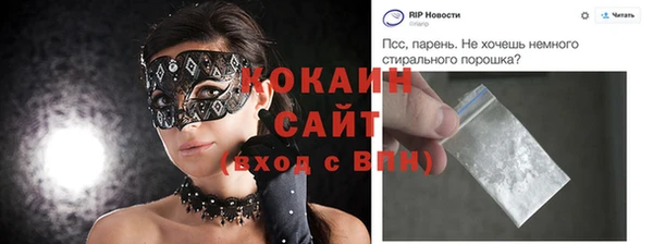 крисы Алзамай