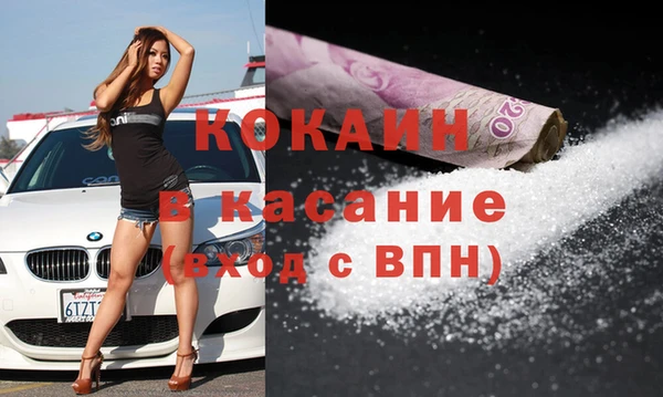 крисы Алзамай