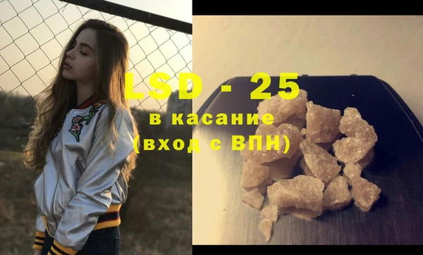 гидра Покачи
