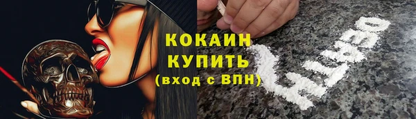 тгк Алексин