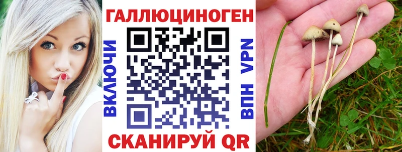 Псилоцибиновые грибы Cubensis  Тольятти 