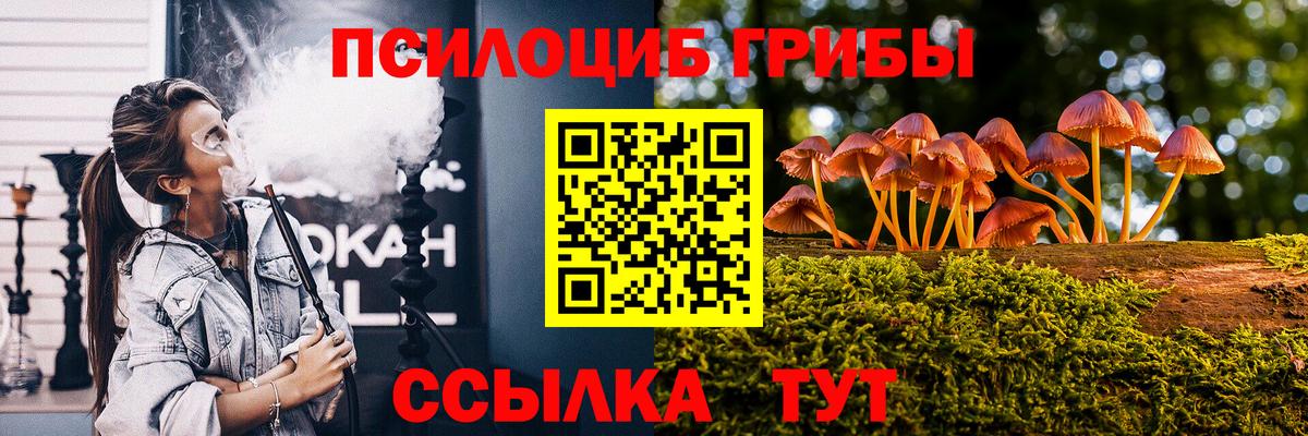 Псилоцибиновые грибы MAGIC MUSHROOMS  Вход с VPN  Тольятти 