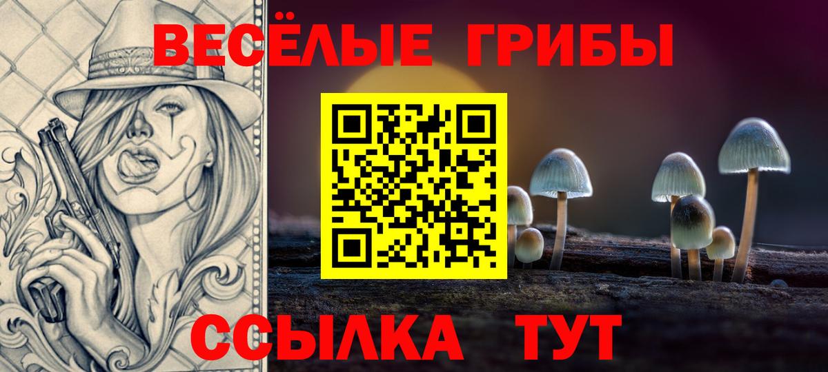 Галлюциногенные грибы прущие грибы Тольятти