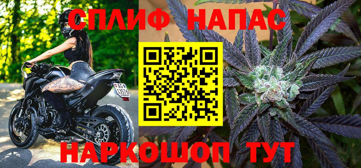 Каннабис план  Бошки Шишки планчик  Конопля OG Kush  Тольятти  Вход с VPN 
